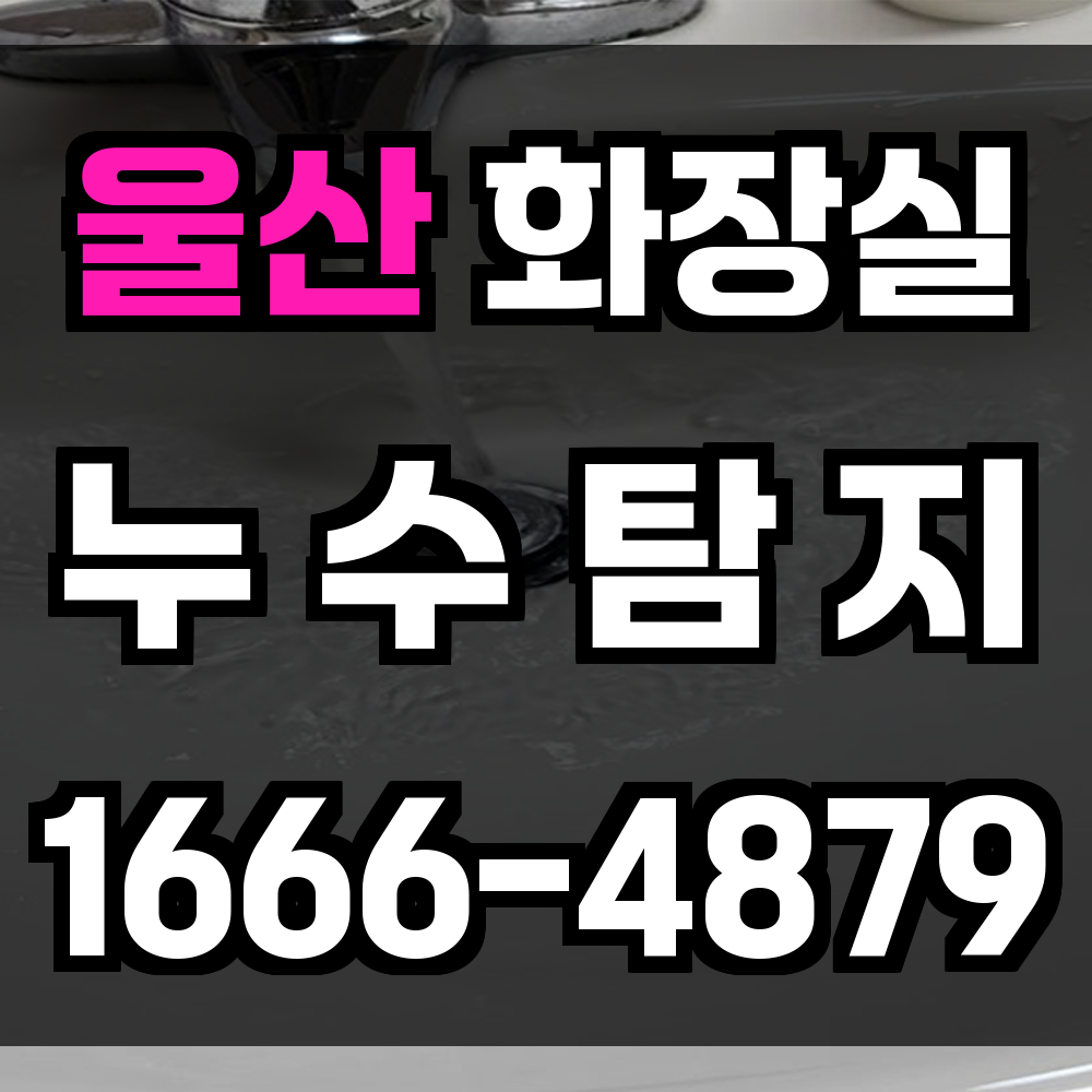 울산 화장실 누수