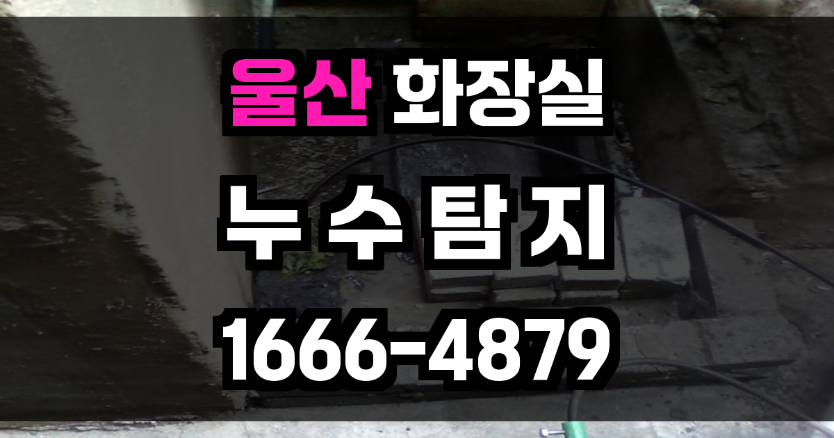 울산 화장실 누수