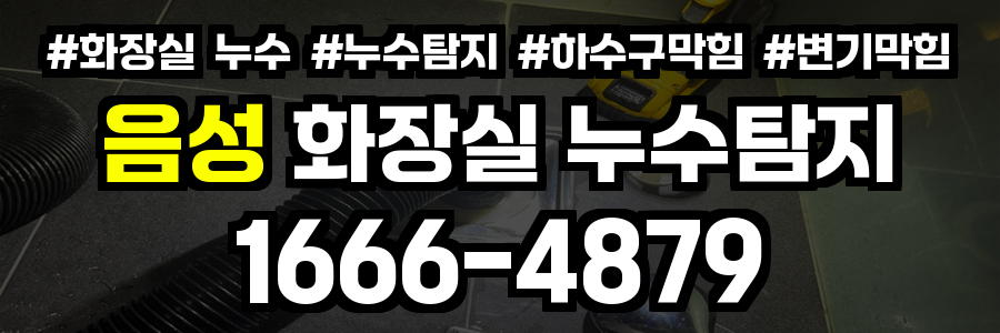 음성 화장실 누수