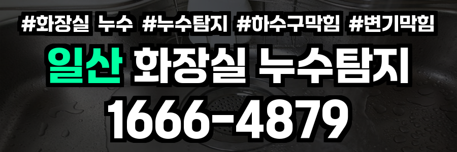 일산 화장실 누수