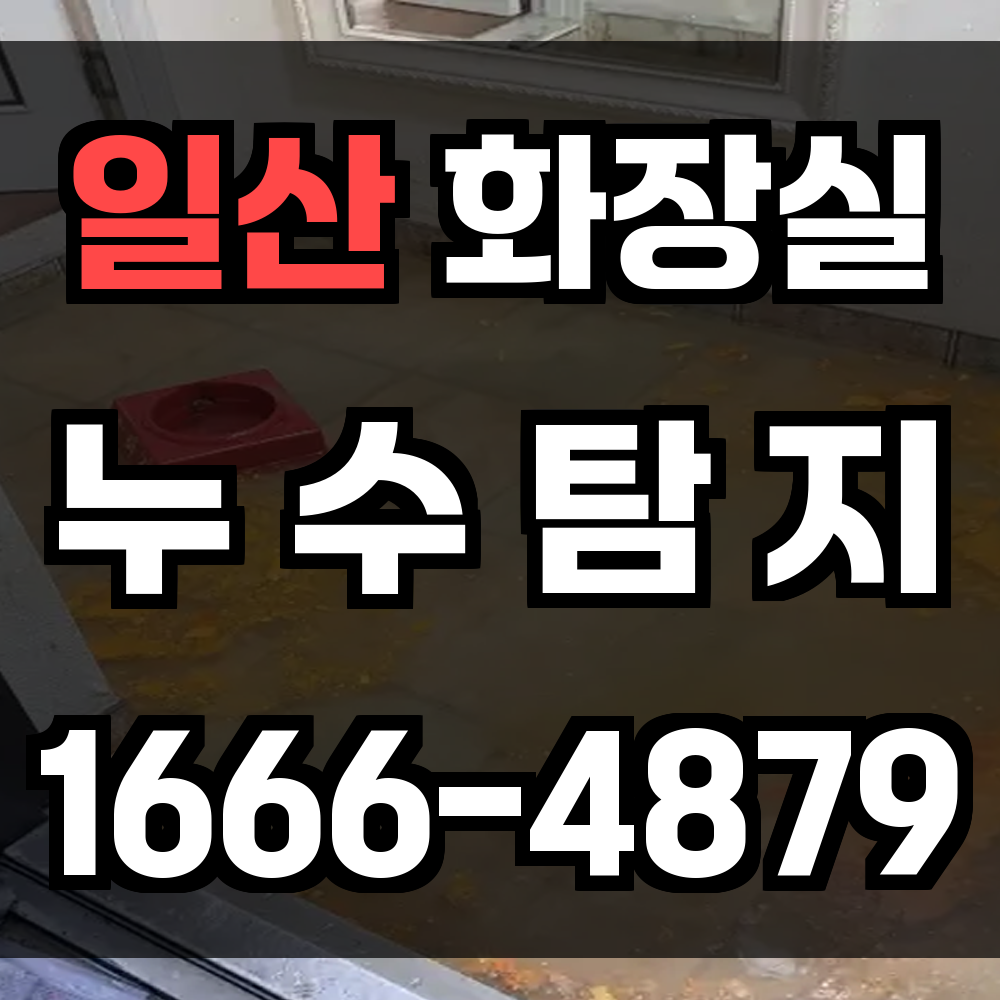 일산 화장실 누수
