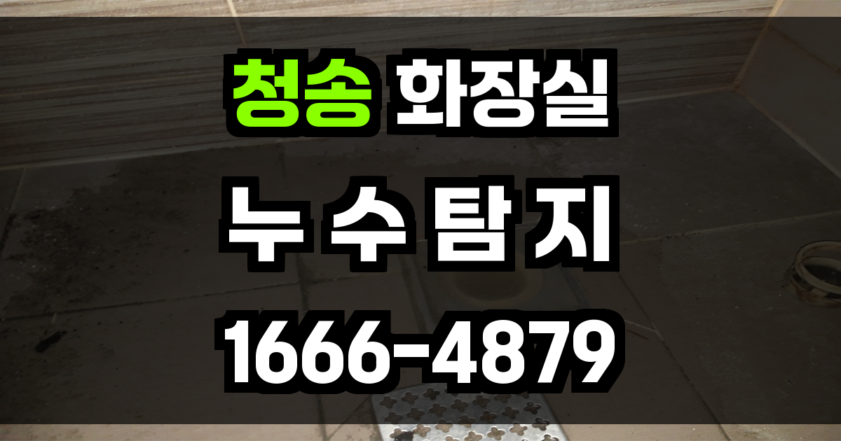 청송 화장실 누수