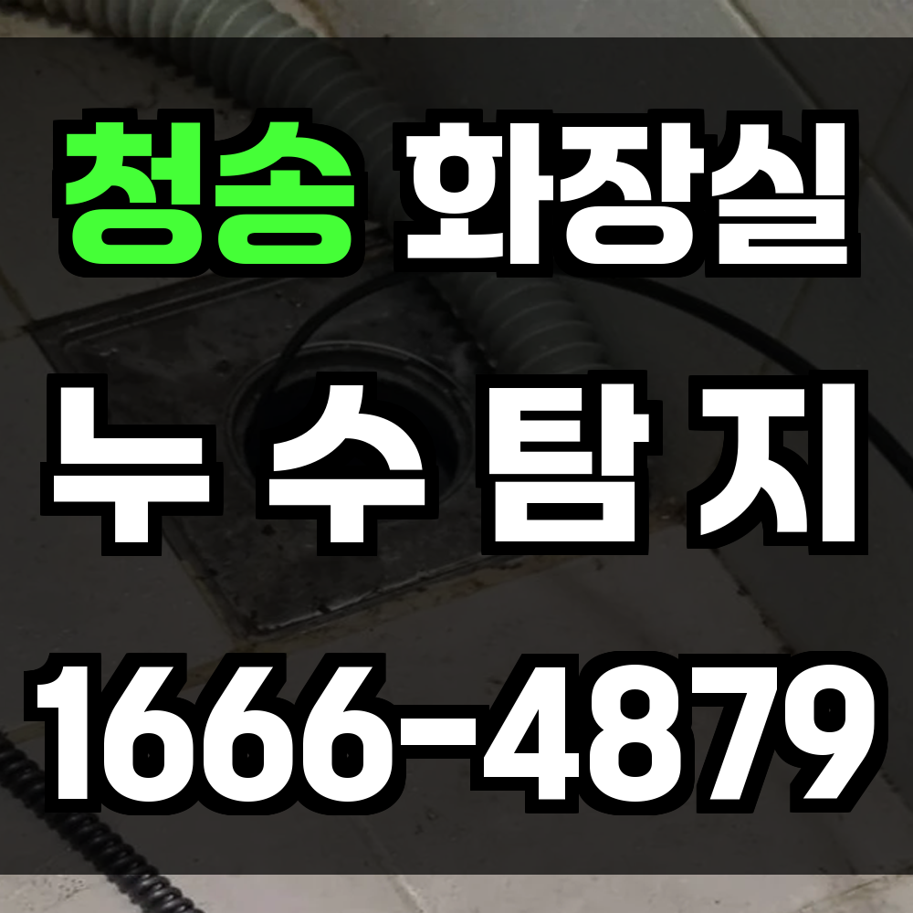 청송 화장실 누수