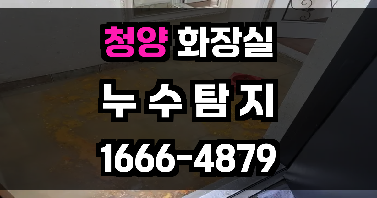 청양 화장실 누수