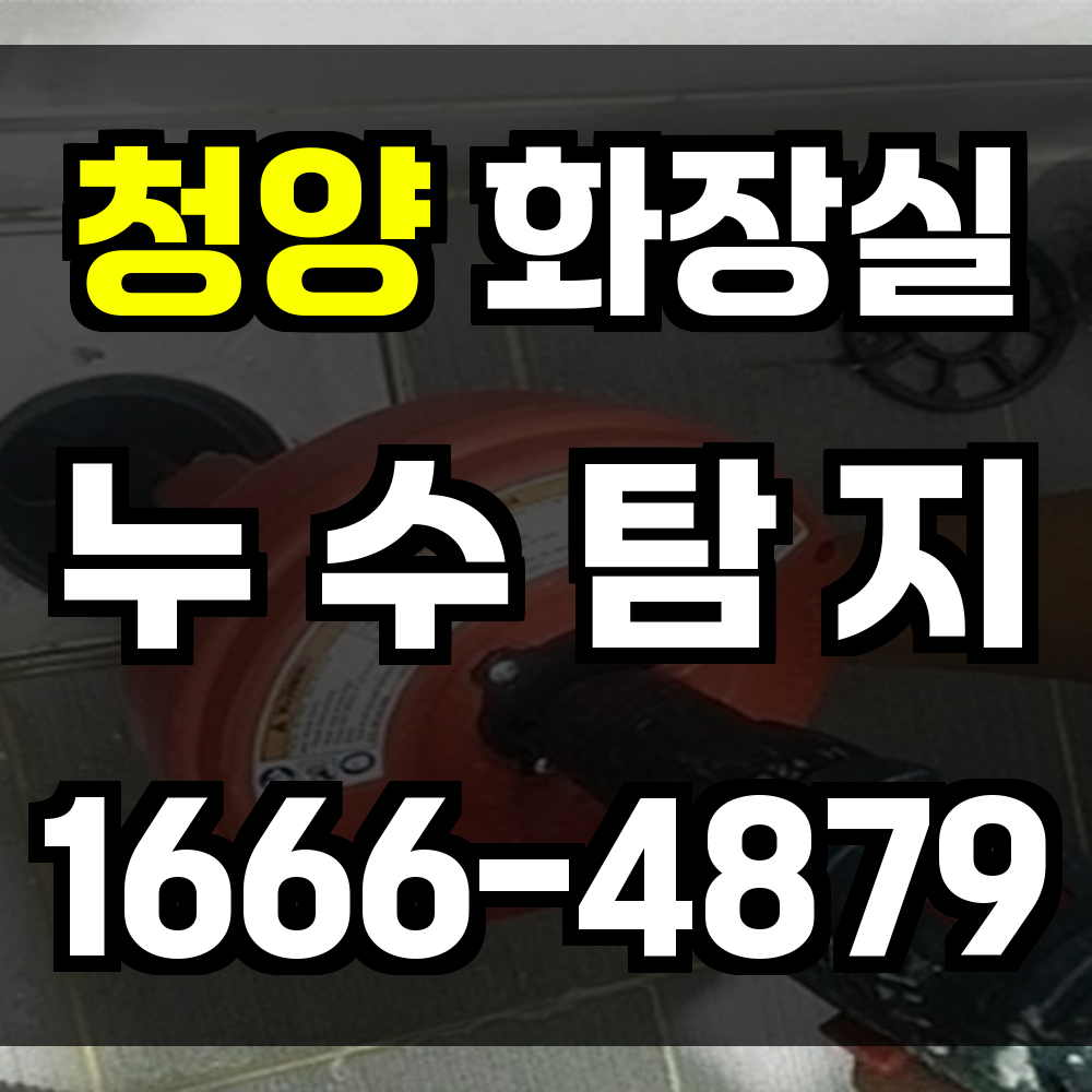 청양 화장실 누수