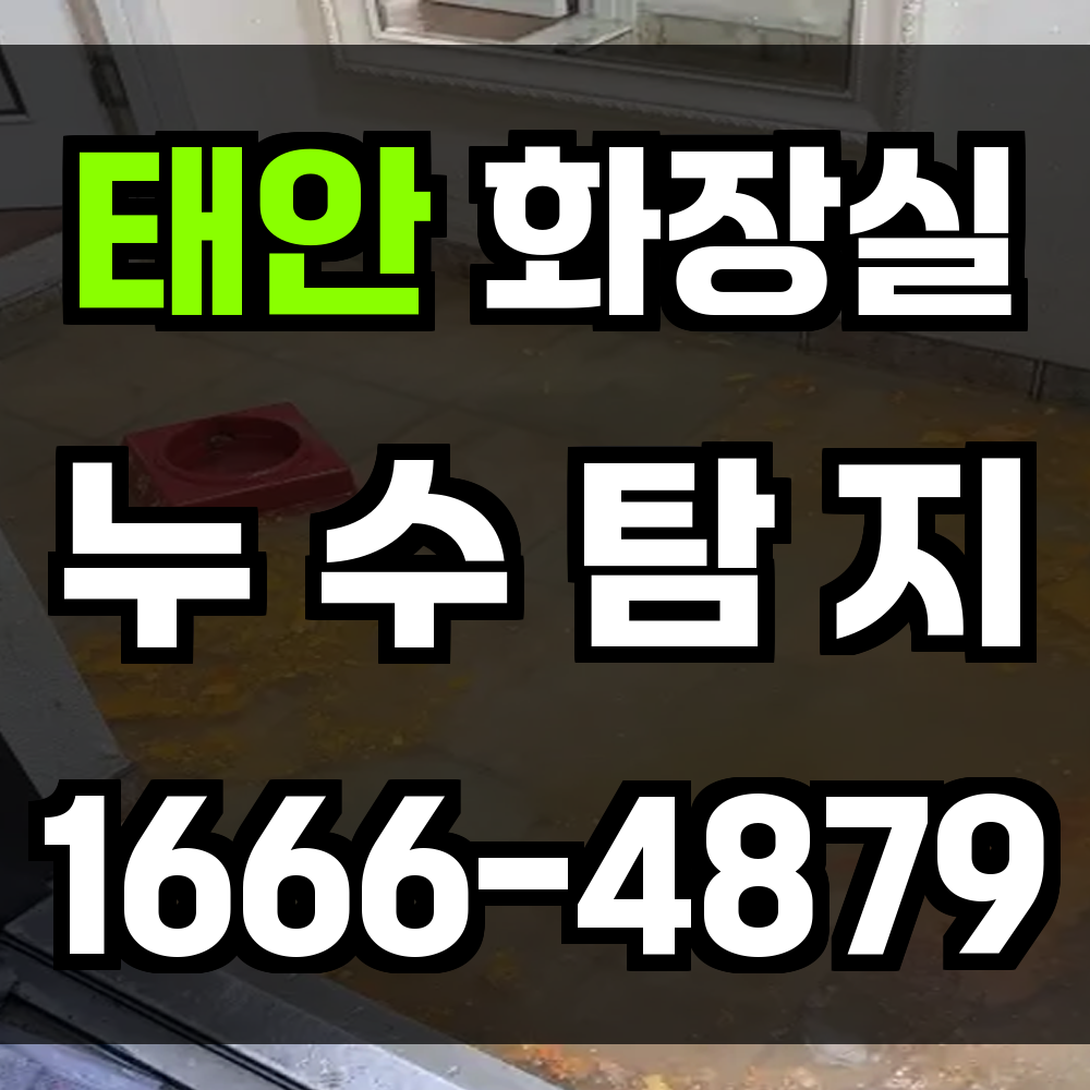 태안 화장실 누수