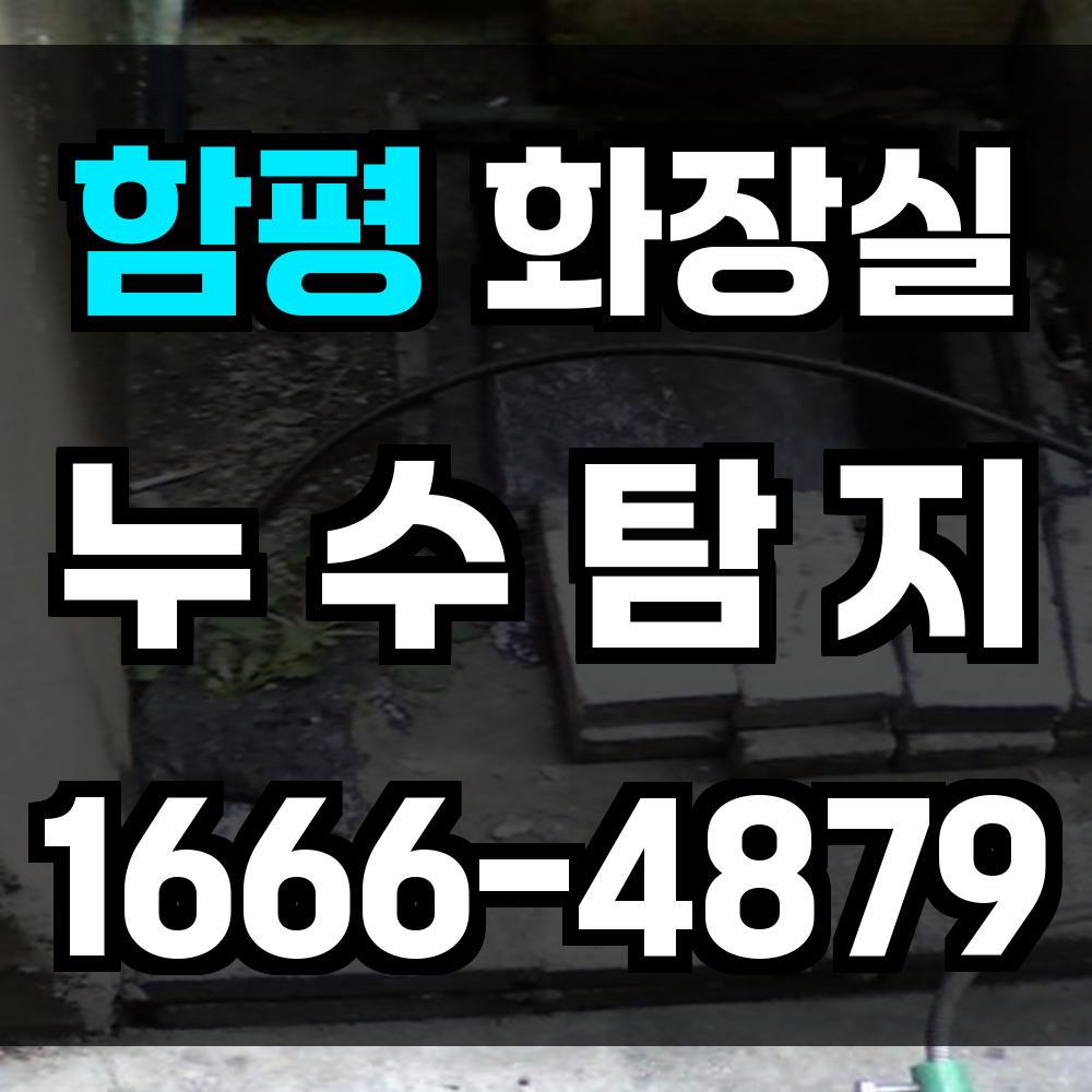 함평 화장실 누수탐지 타일 밑 누수도 놓치지 않는 고감도 진단 솔루션