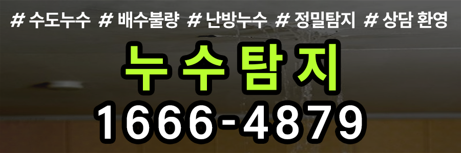 누수탐지 비용