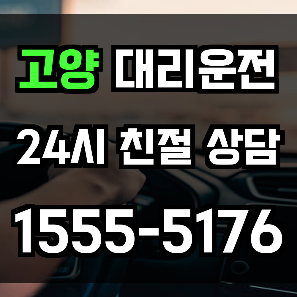 고양 대리운전