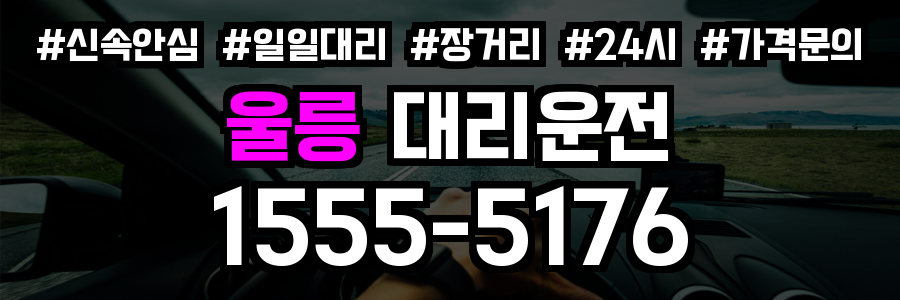 울릉 대리운전