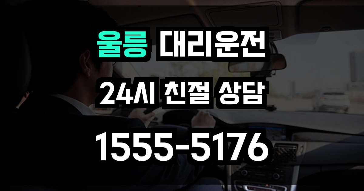 울릉 대리운전