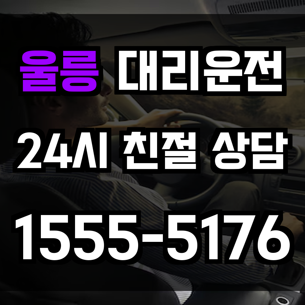 울릉 대리운전