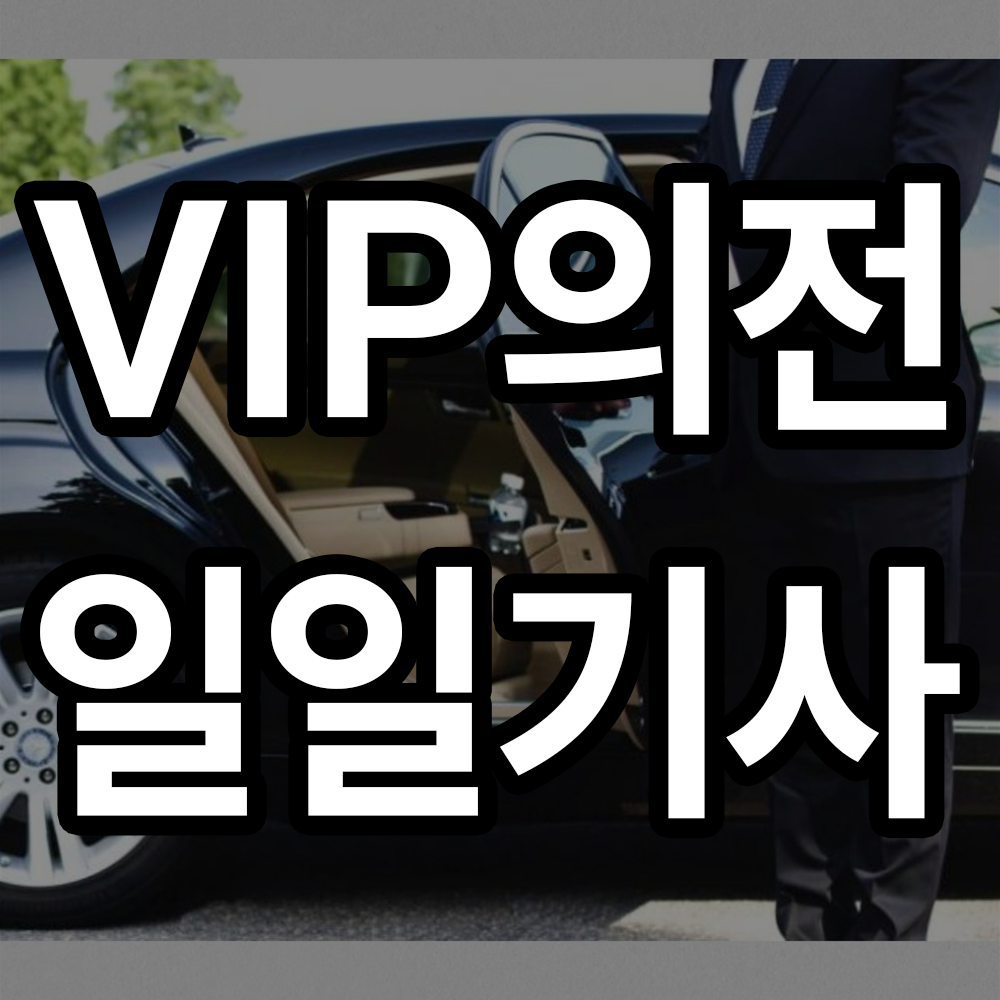 VIP의전 일일기사