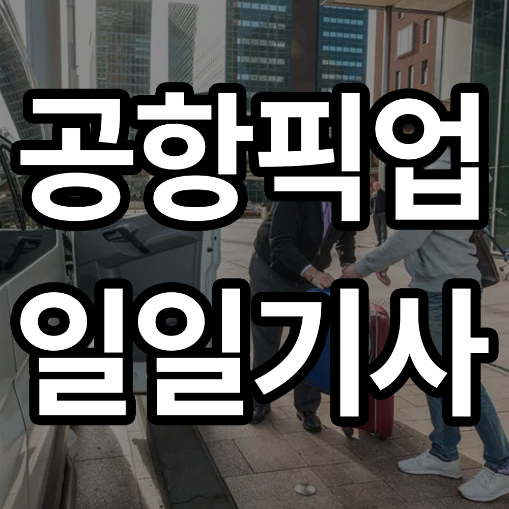 공항픽업 일일기사