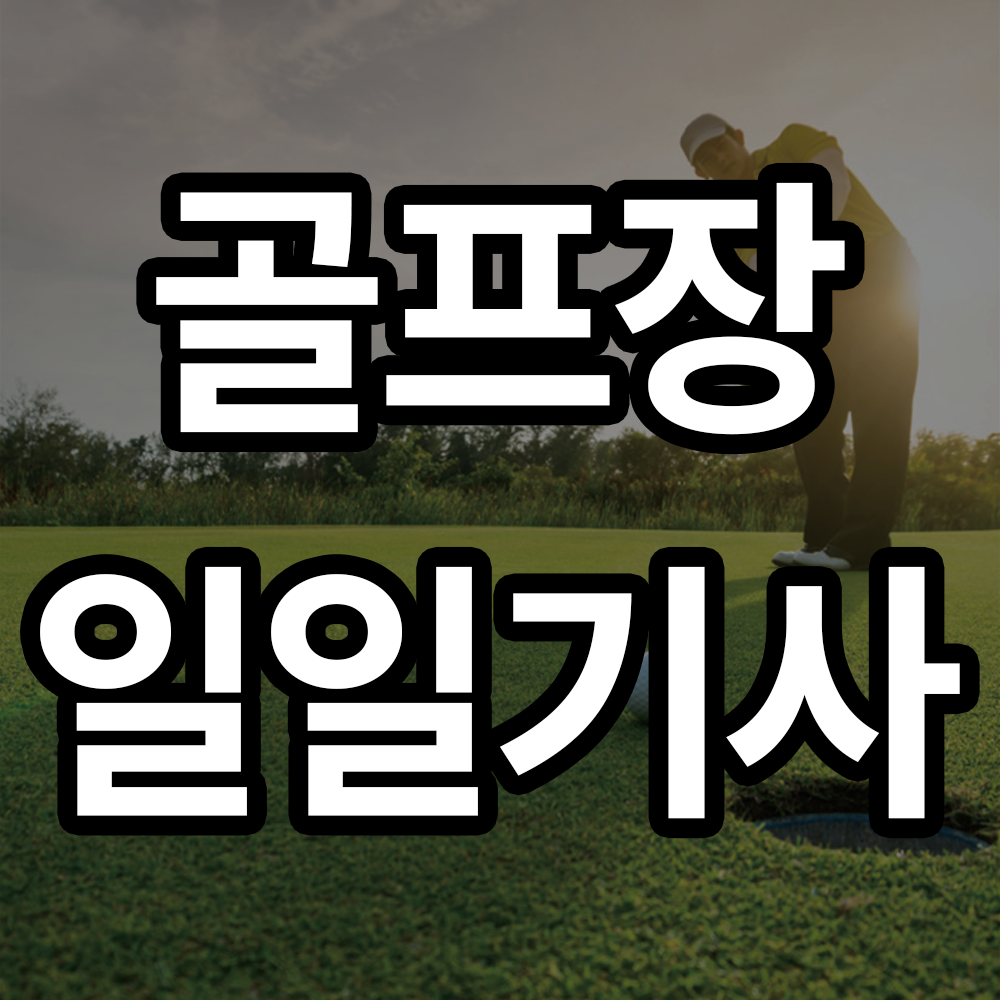 골프장 일일기사