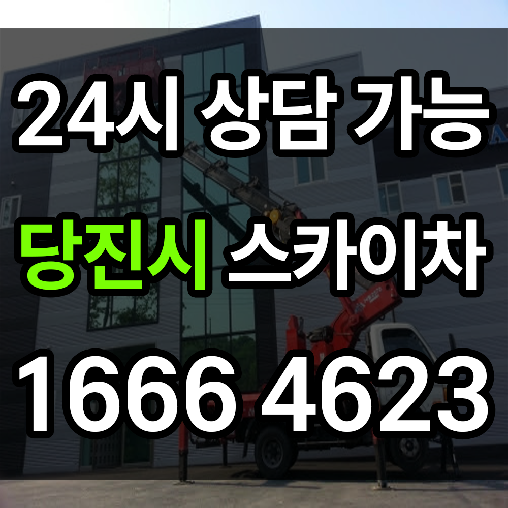 당진시 스카이차 안전하고 효율적인 고소 작업을 위한 최적의 선택을 만나보세요