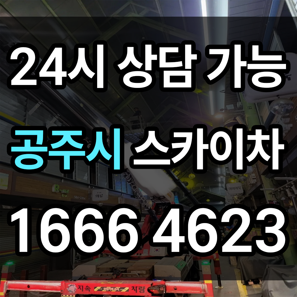 공주시 스카이차 어떤 고층 작업이든 깔끔하게 잘 하는 업체 다양한 차 종 보유 중