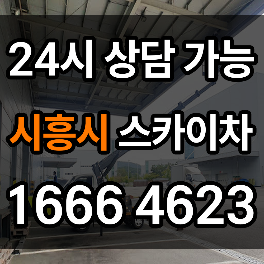 시흥시 스카이차 안전하고 효율적인 고소 작업의 필수 장비 고층도 깔끔하게 잘 하는 업체