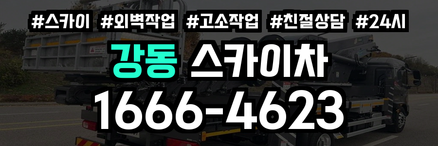 강동 스카이차