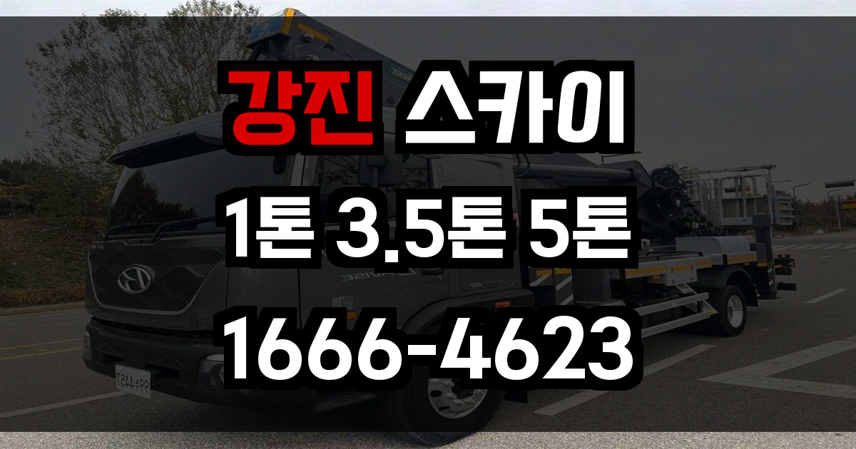강진 스카이차