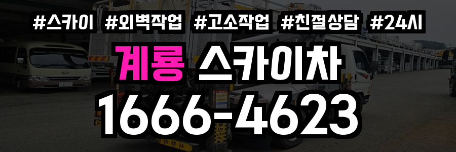 계룡 스카이차