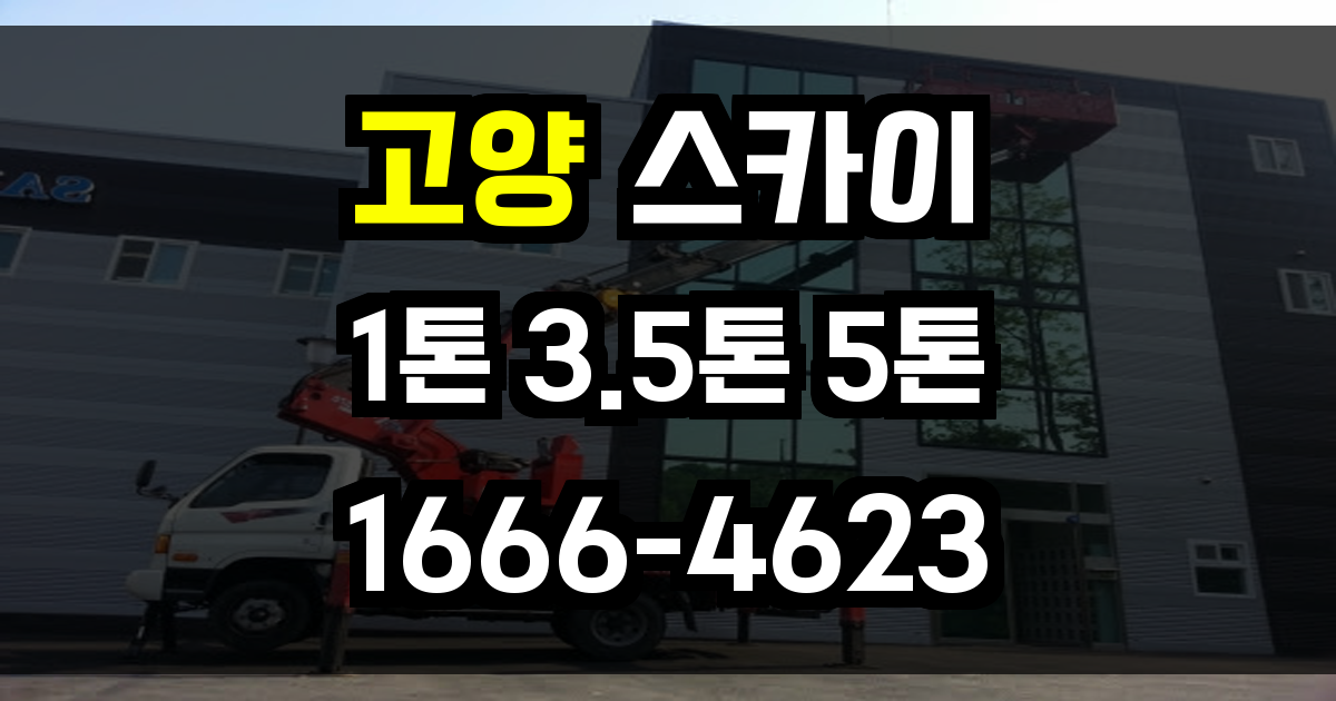 고양 스카이차