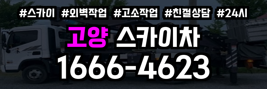 고양 스카이차