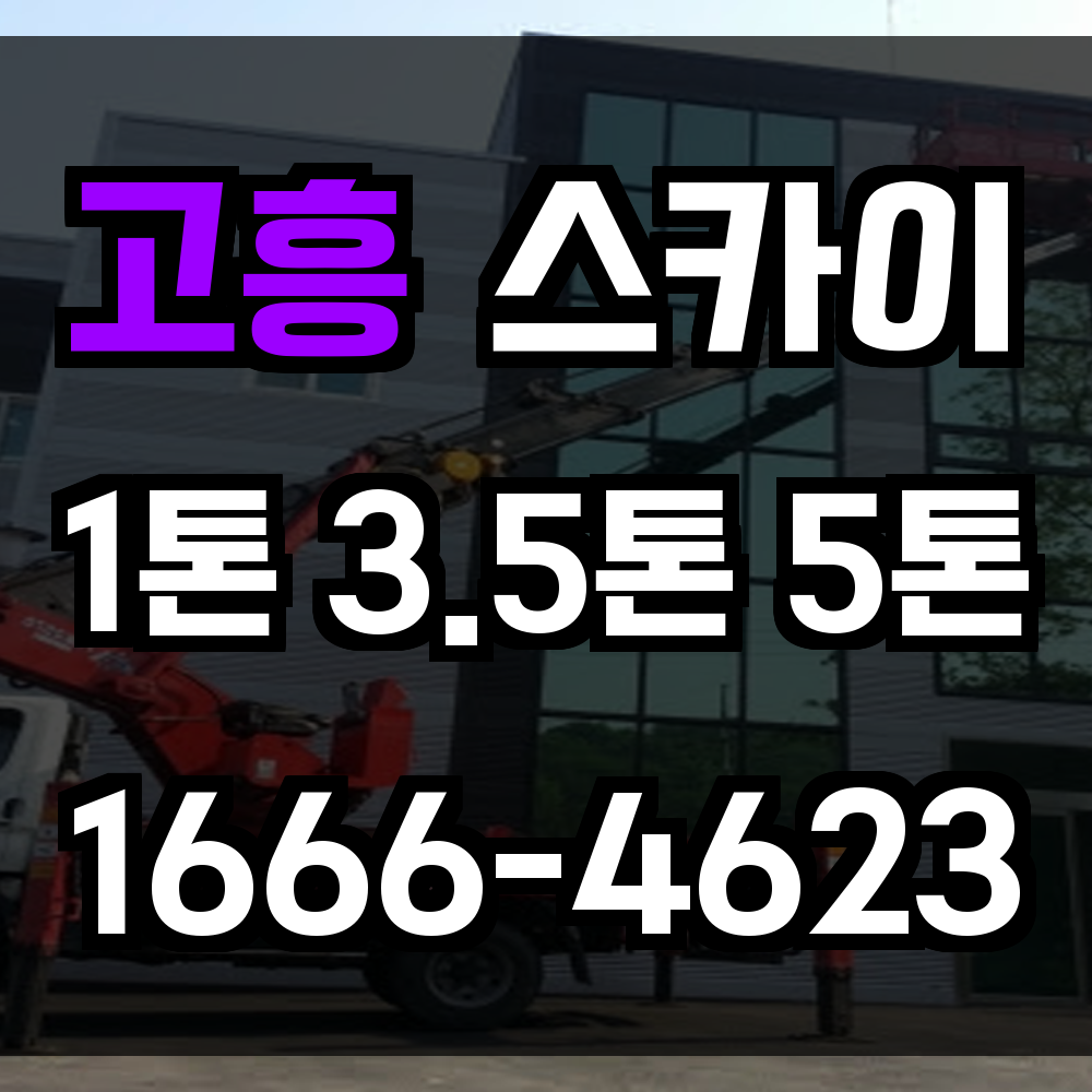고흥 스카이차