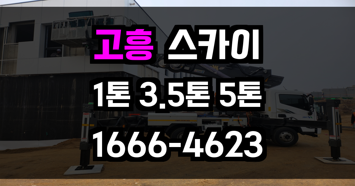 고흥 스카이차