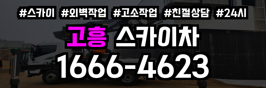 고흥 스카이차