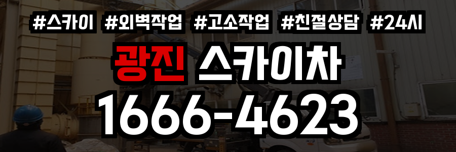 광진 스카이차