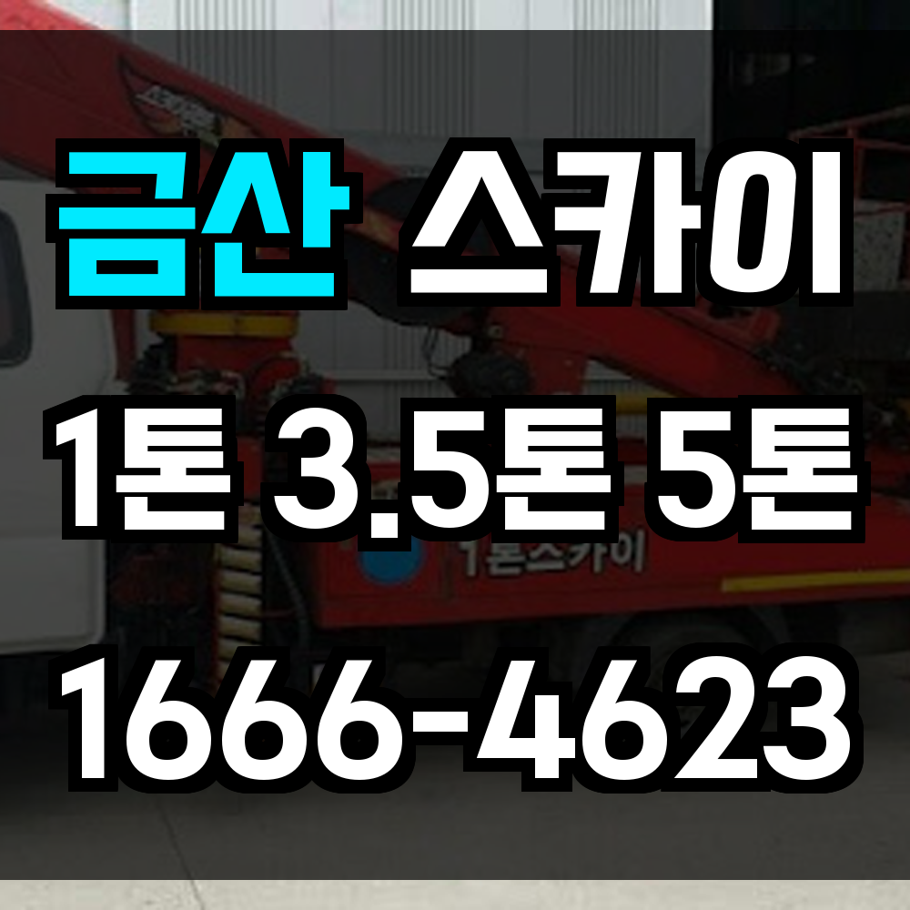 금산 스카이차