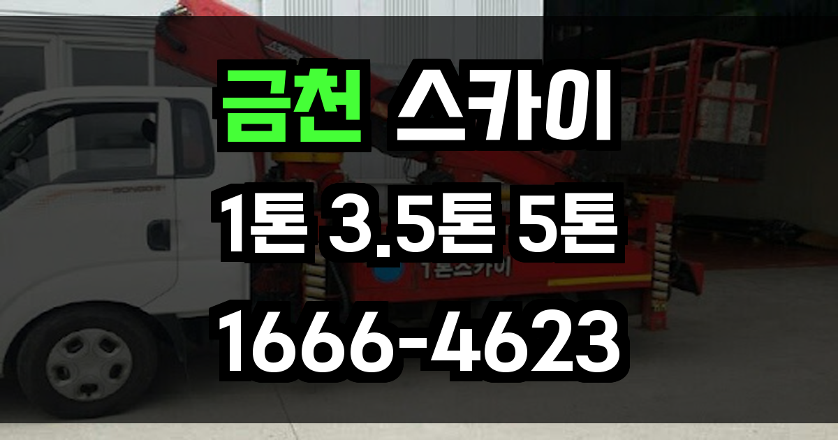 금천 스카이차
