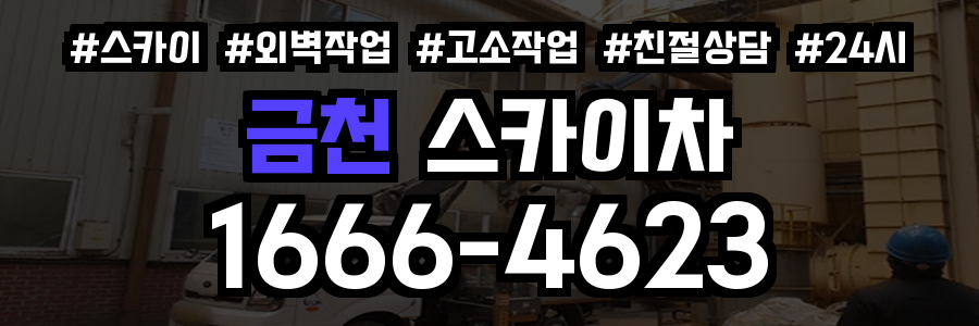 금천 스카이차