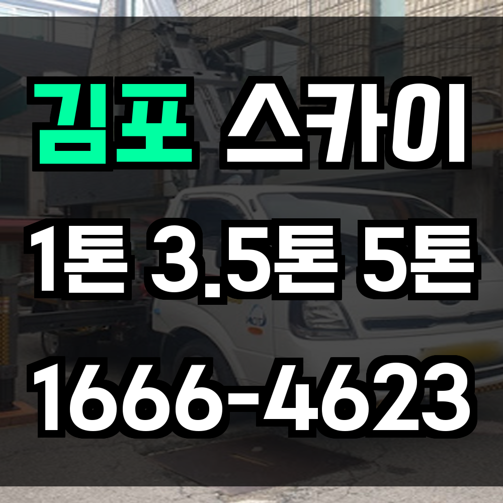 김포 스카이차