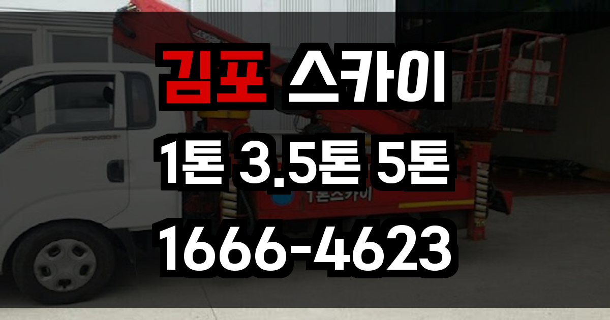 김포 스카이차