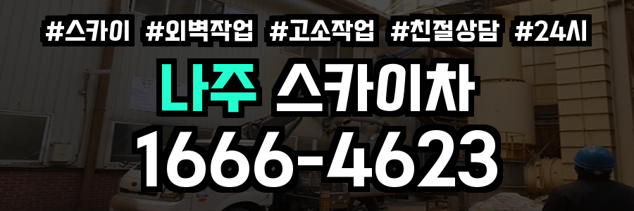 나주 스카이차