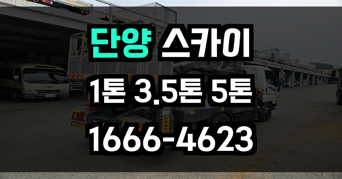 단양 스카이차