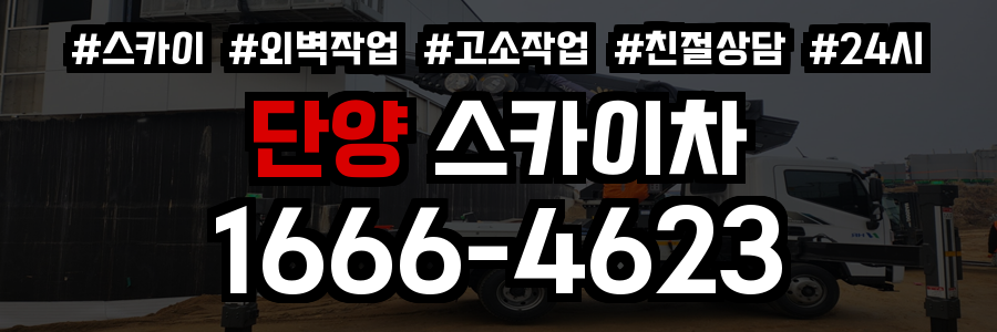 단양 스카이차