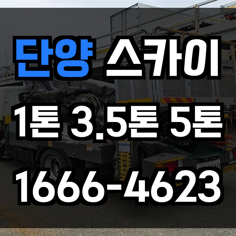 단양 스카이차