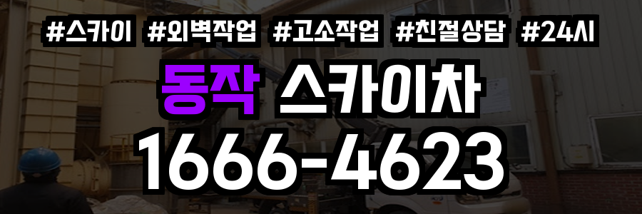 동작 스카이차