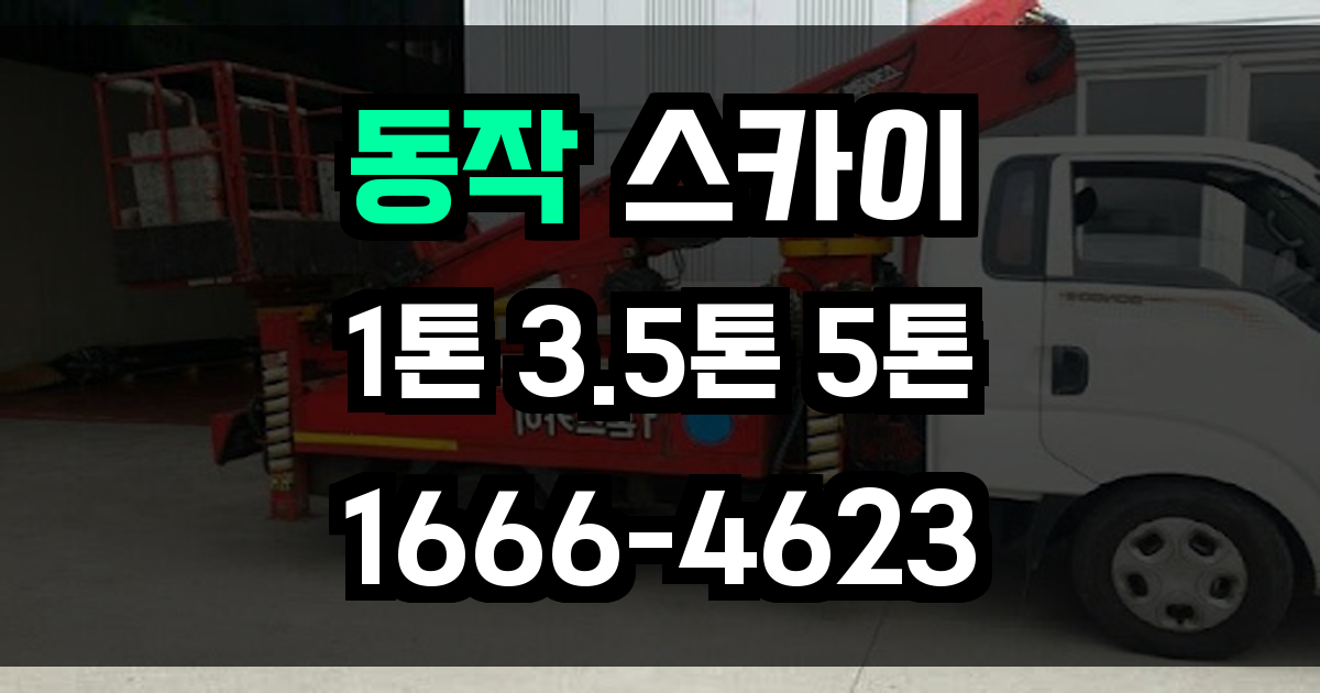 동작 스카이차