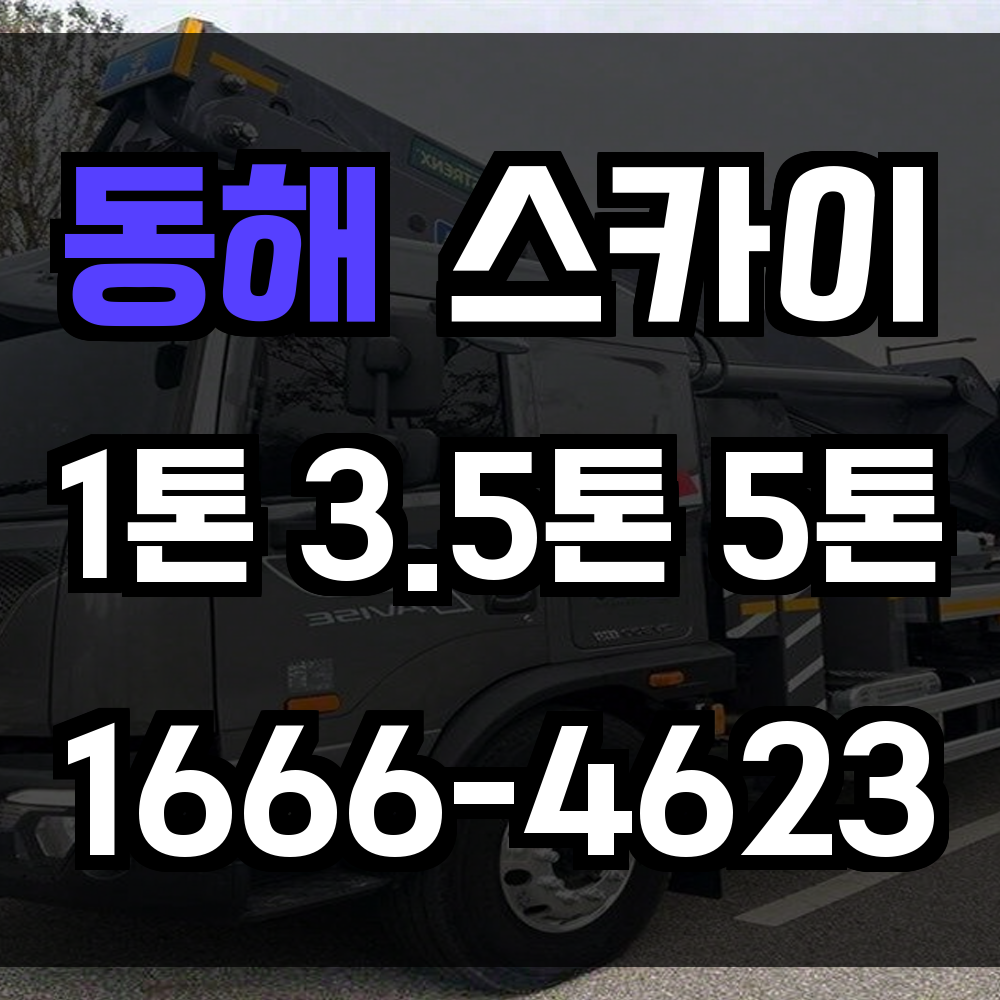 동해 스카이차