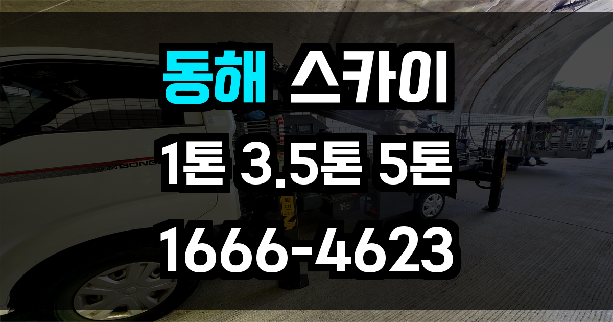 동해 스카이차