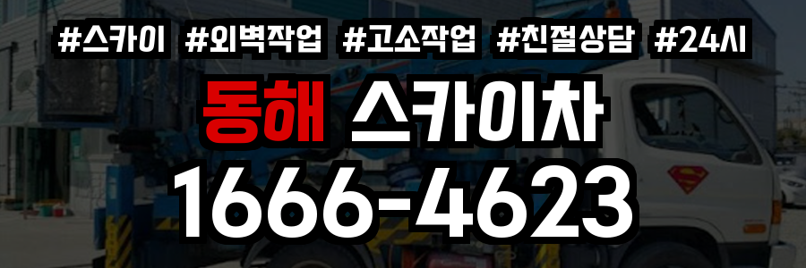 동해 스카이차
