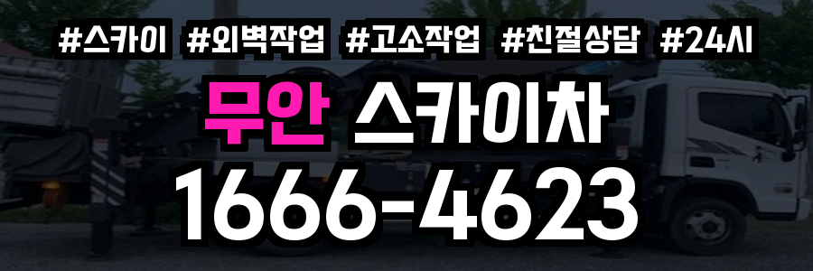 무안 스카이차