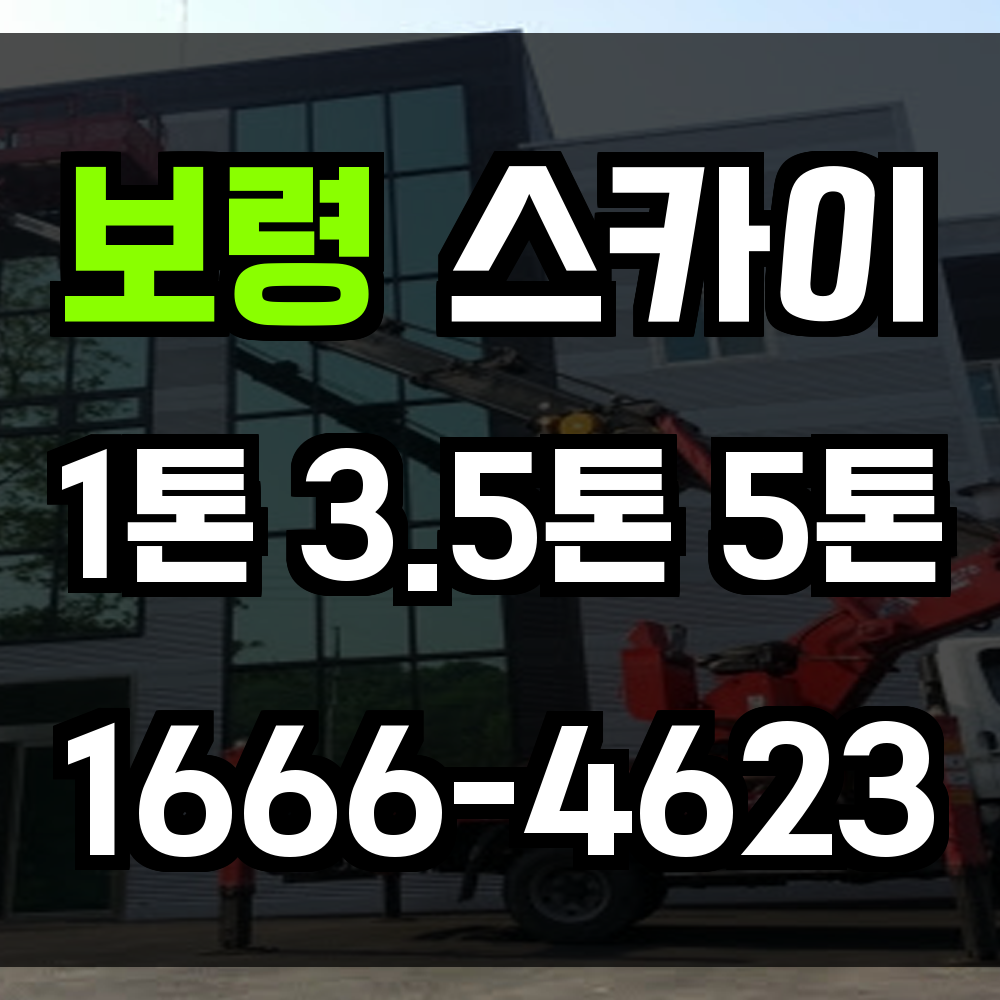 보령 스카이차