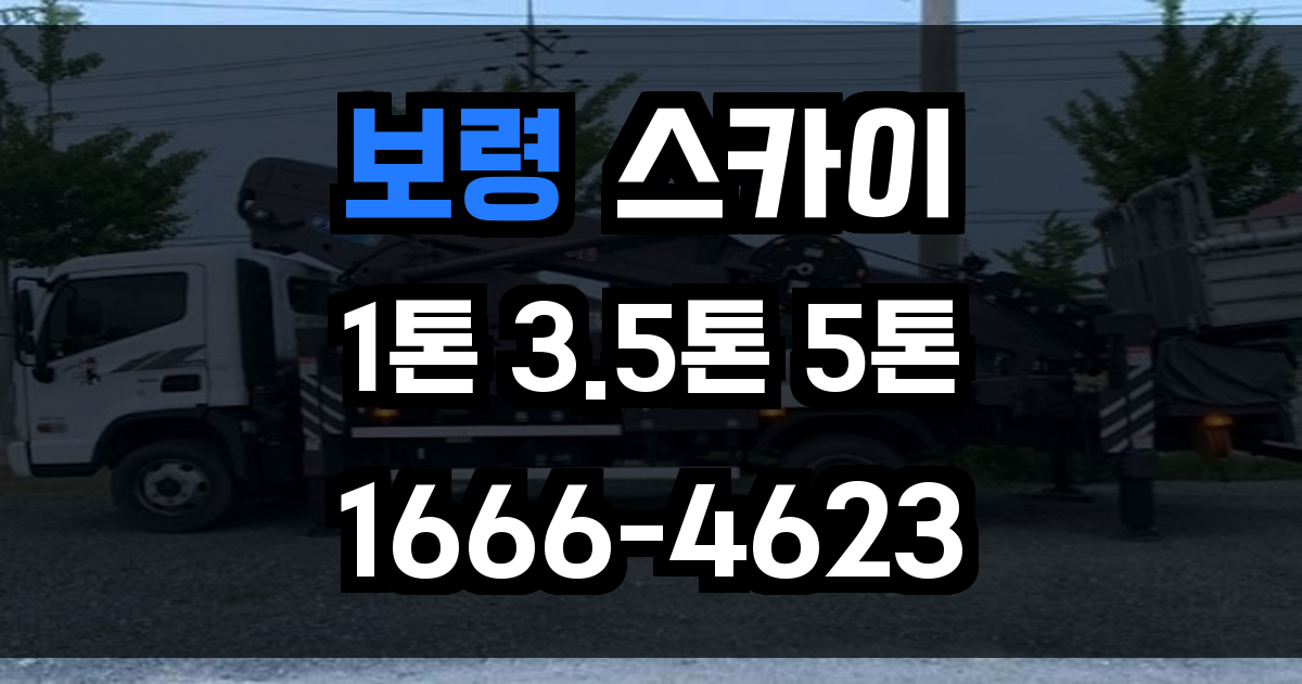 보령 스카이차