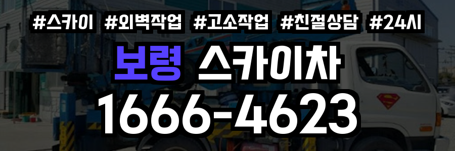 보령 스카이차