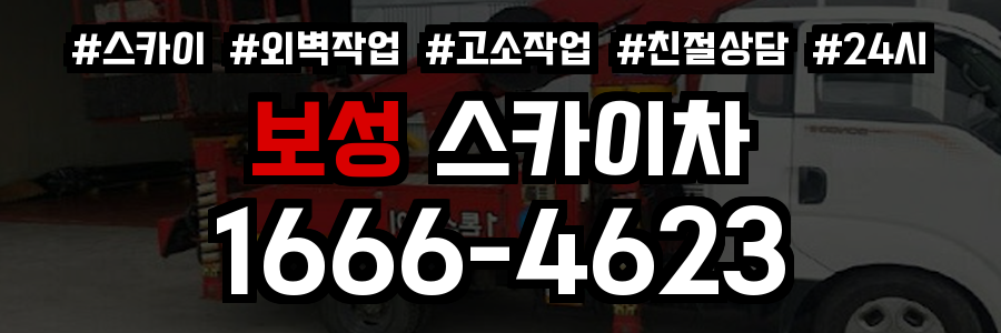 보성 스카이차